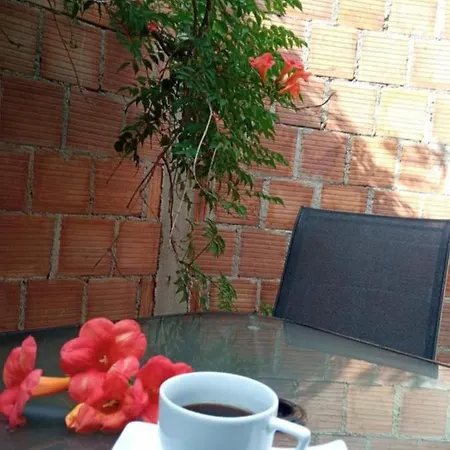 Paradise شقة *